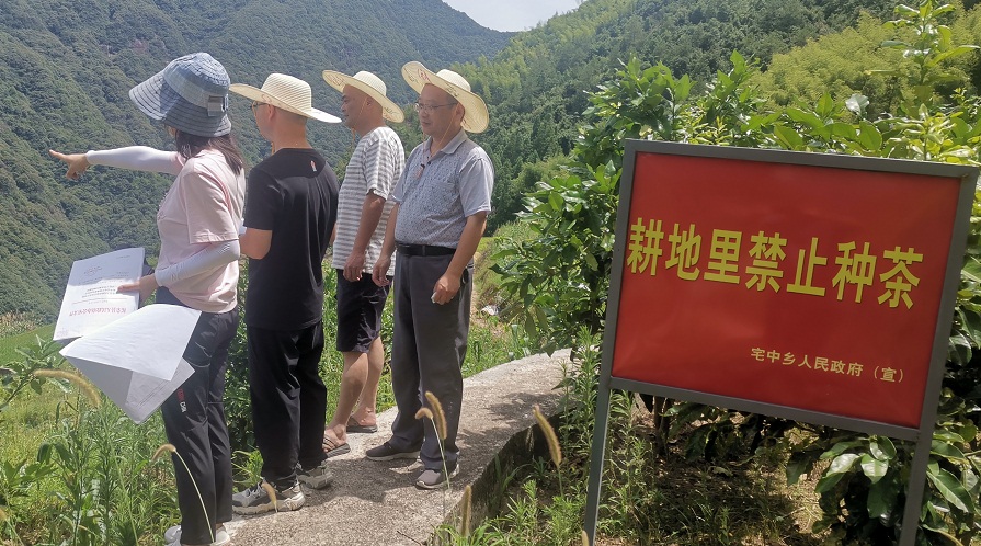 柘荣县审计局：审计助力生态建设 严守耕地保护红线